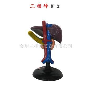 醫(yī)藥教學(xué)器材批發(fā)價(jià)格解析 義烏市場(chǎng)成行業(yè)風(fēng)向標(biāo)